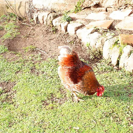 Chaleureux Avec Jardin, Cheminee, Velos Et Equipements Eco-responsables A - Fr-1-489-349 * Louroux-de-Beaune
